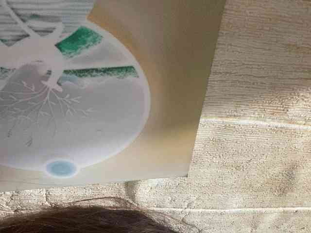 Rainie webcam
