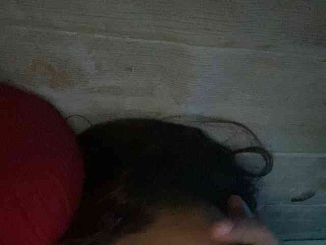 Rainie