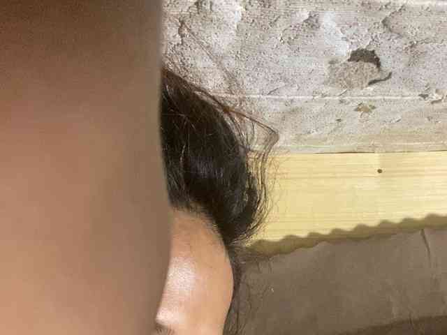 Rainie webcam
