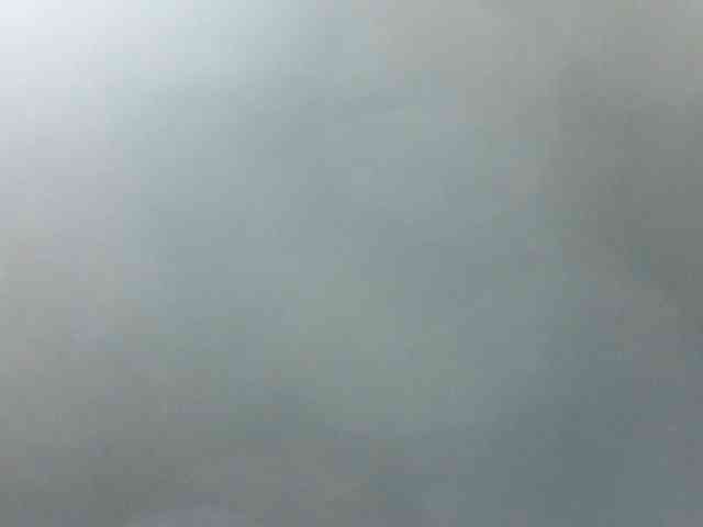 Rainie webcam