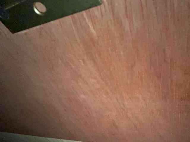 Rainie webcam