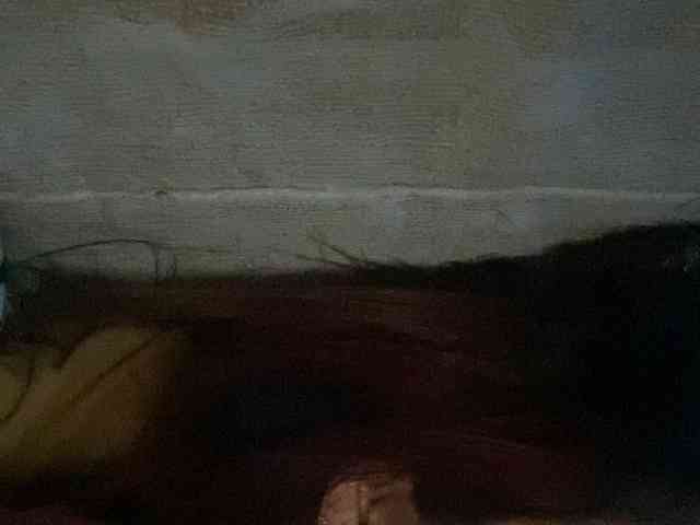 Rainie webcam