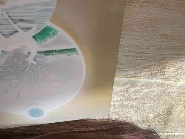 Rainie webcam
