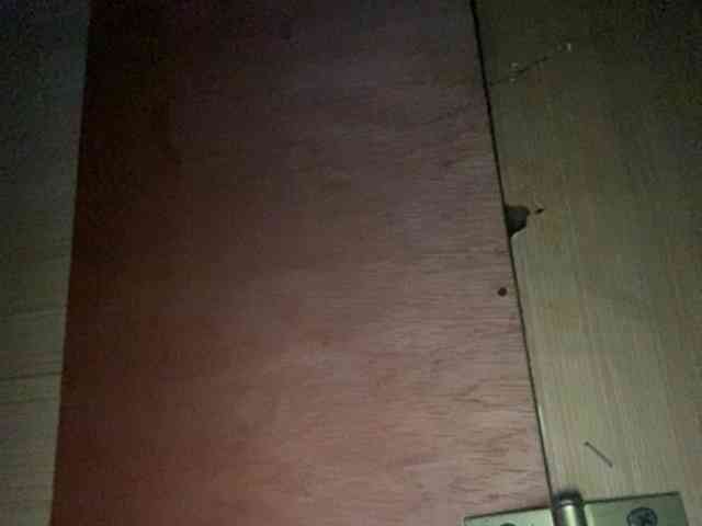 Rainie webcam