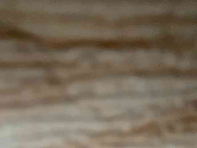 Rainie webcam