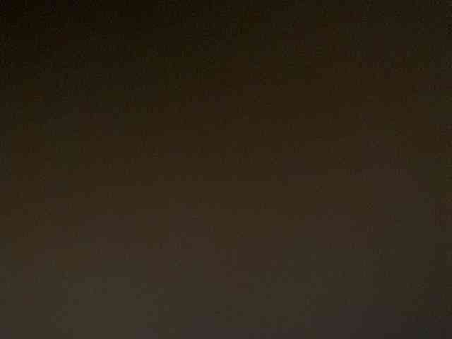 Rainie webcam