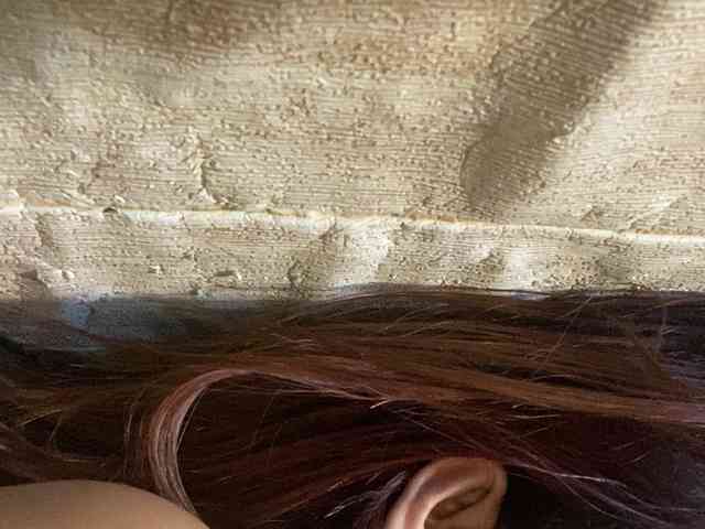 Rainie webcam
