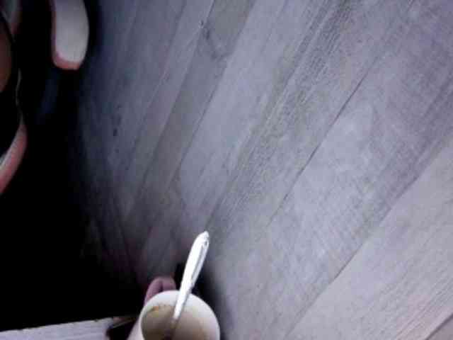 Rainie webcam