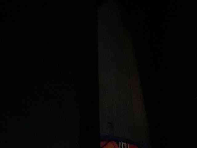 Rainie webcam