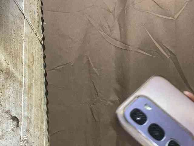 Rainie webcam