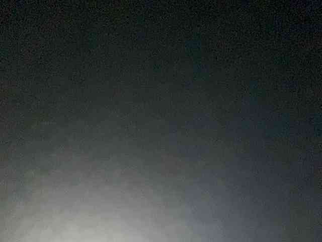 Rainie webcam