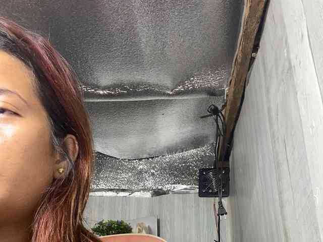 Rainie webcam