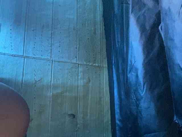 Rainie webcam
