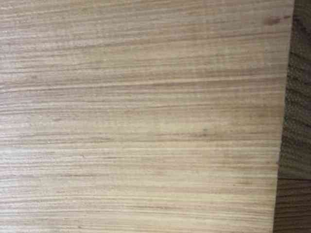 Rainie webcam