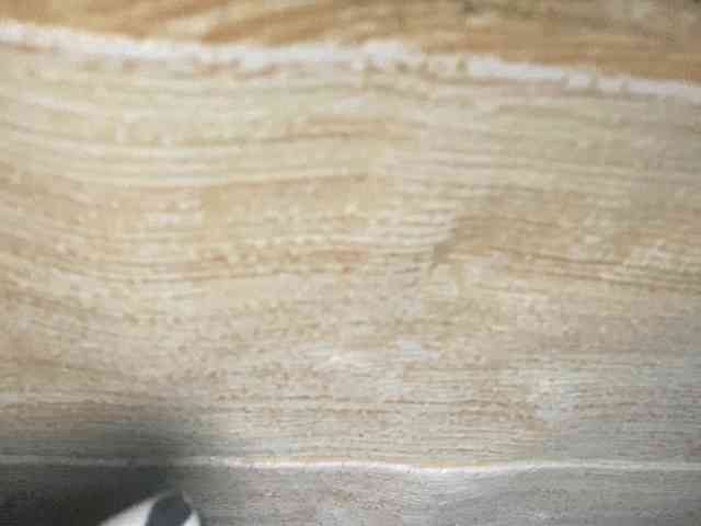 Rainie webcam