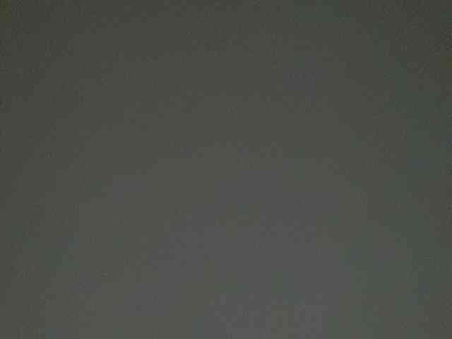 Rainie webcam