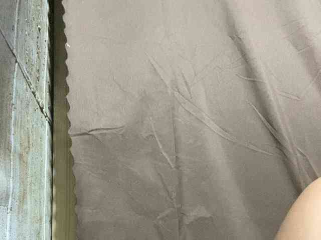 Rainie webcam