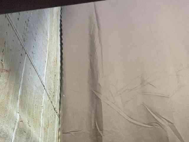 Rainie webcam