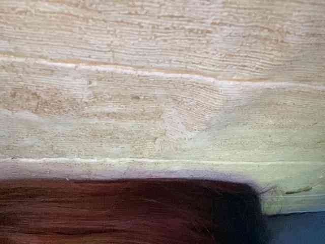 Rainie webcam
