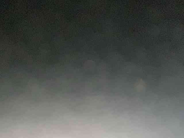 Rainie webcam