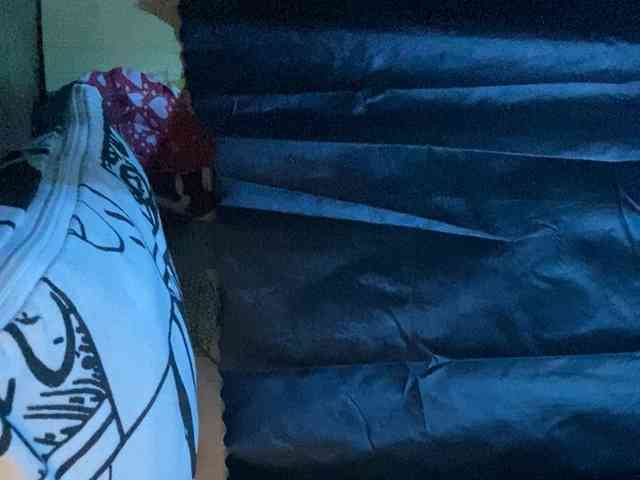 Rainie webcam