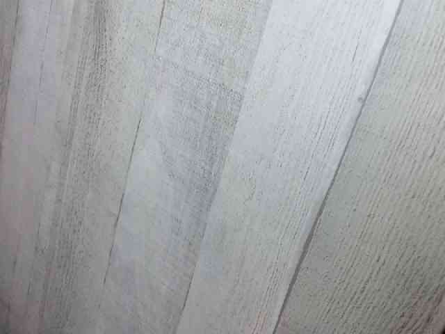 Rainie webcam