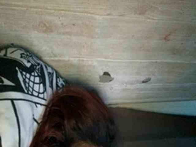 Rainie webcam