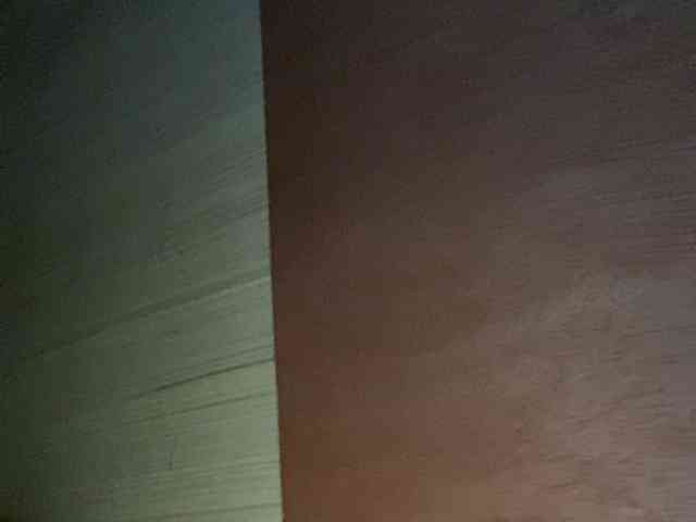 Rainie webcam