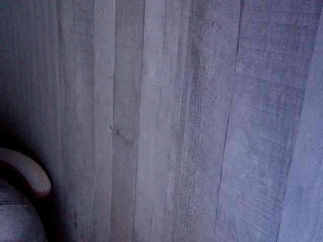 Rainie webcam