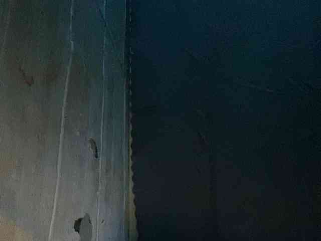 Rainie webcam
