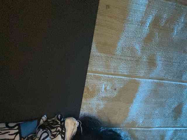 Rainie webcam