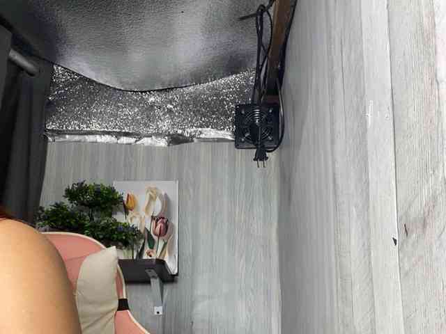 Rainie webcam