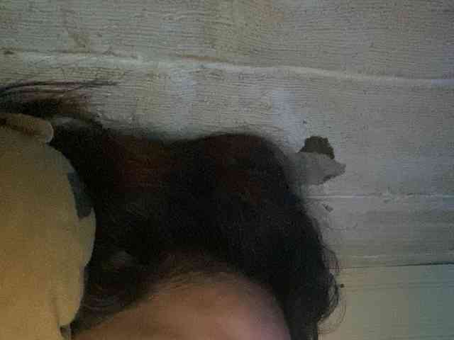 Rainie webcam