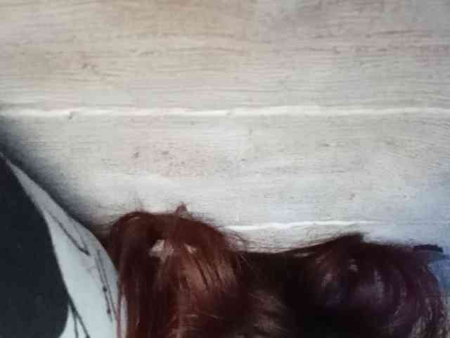Rainie webcam