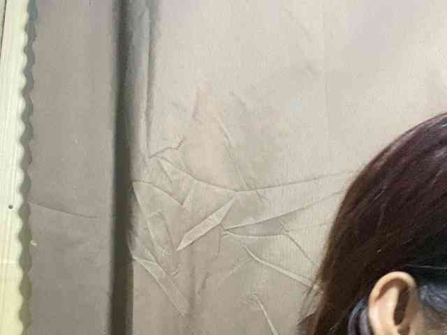 Rainie webcam