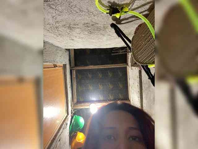 rasberrykat webcam