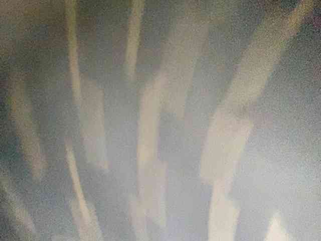 Rainie webcam