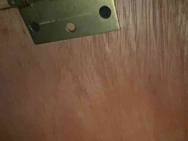 Rainie webcam