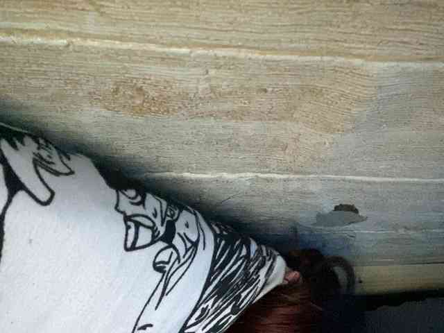 Rainie webcam