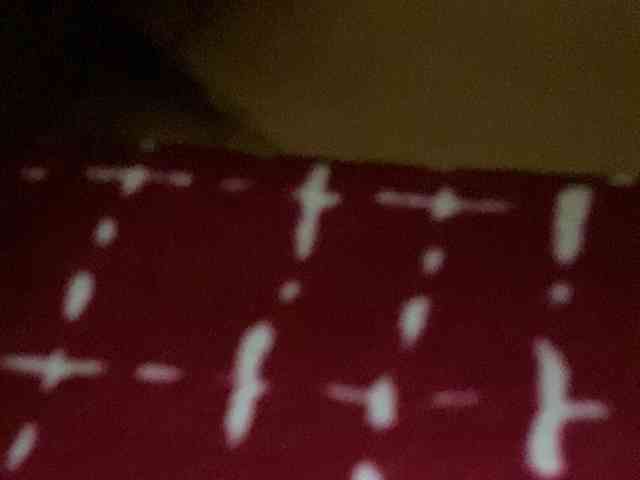 Rainie webcam