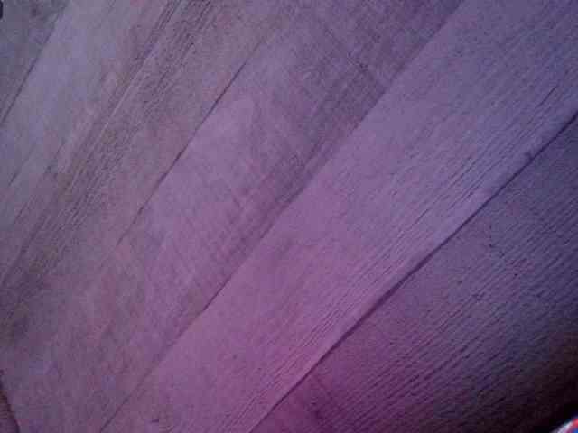 Rainie webcam