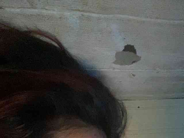 Rainie webcam