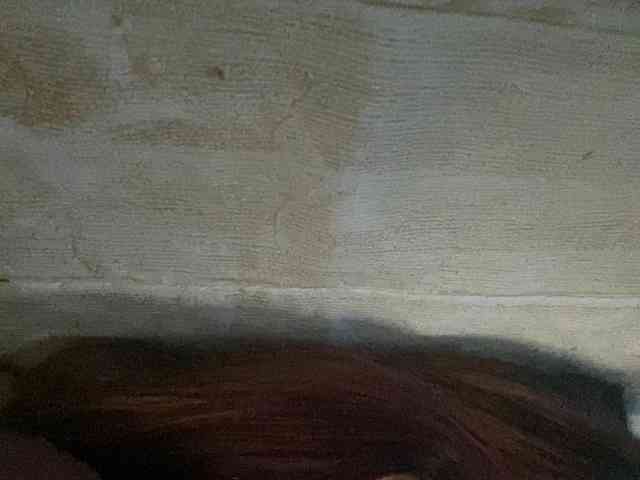 Rainie webcam