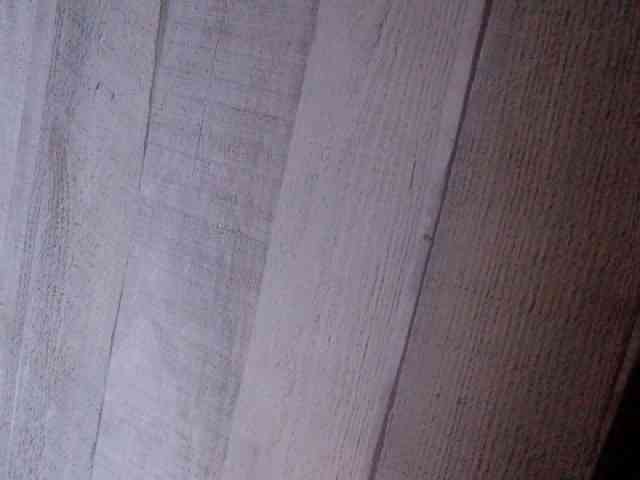 Rainie webcam