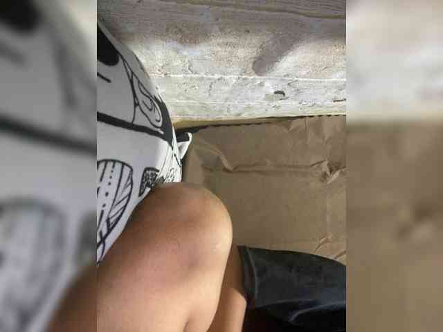 Rainie webcam