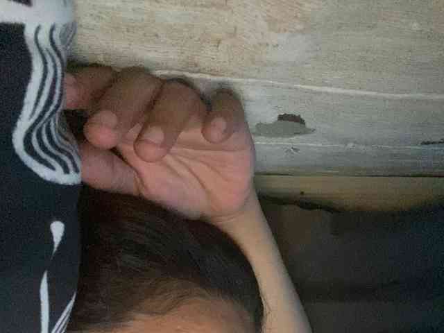 Rainie webcam