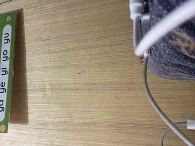 Rainie webcam