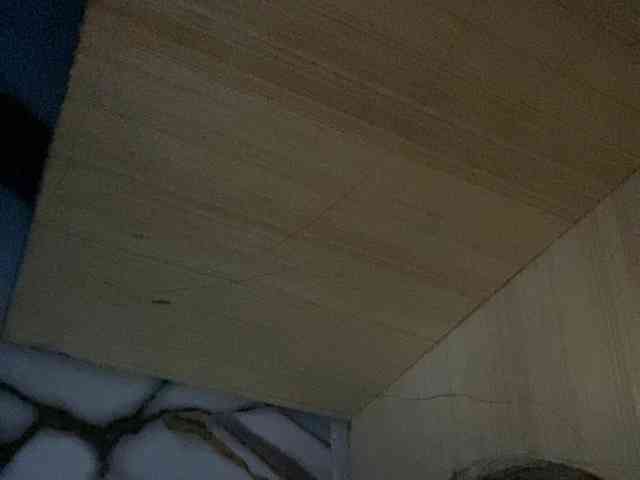 Rainie webcam