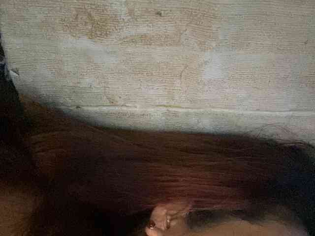 Rainie webcam