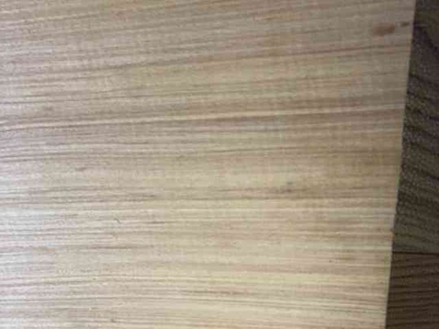 Rainie webcam